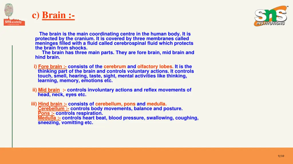 c brain