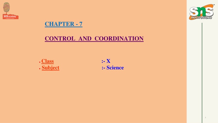 chapter 7