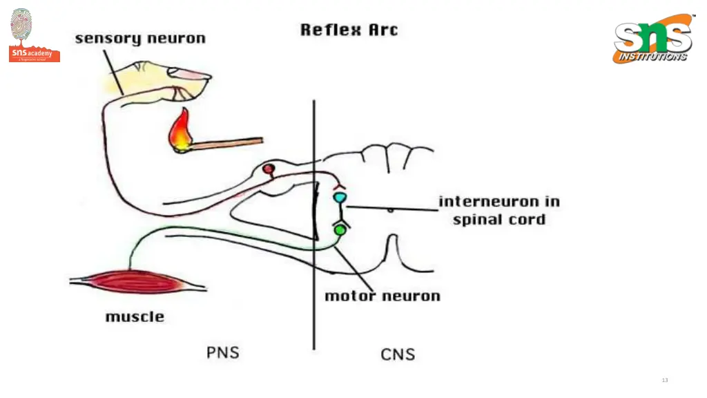 slide13
