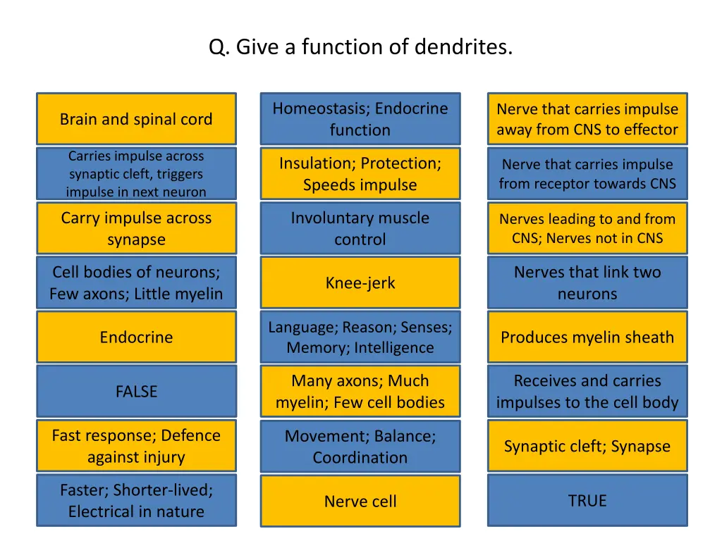 q give a function of dendrites