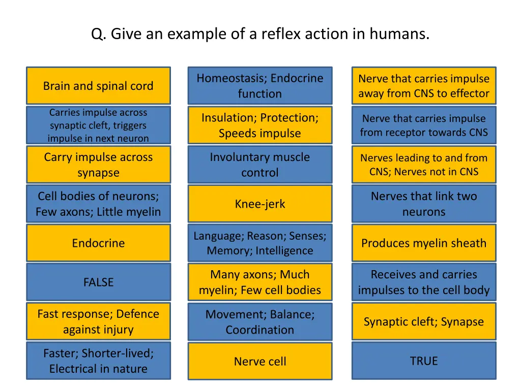 q give an example of a reflex action in humans