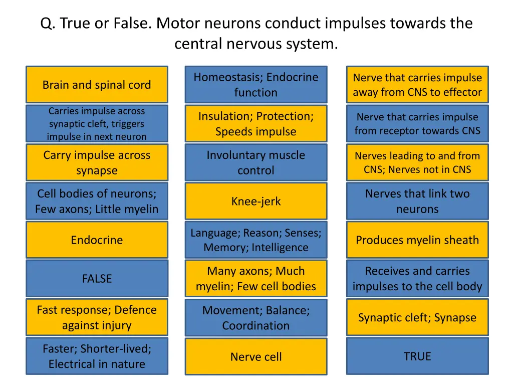 q true or false motor neurons conduct impulses