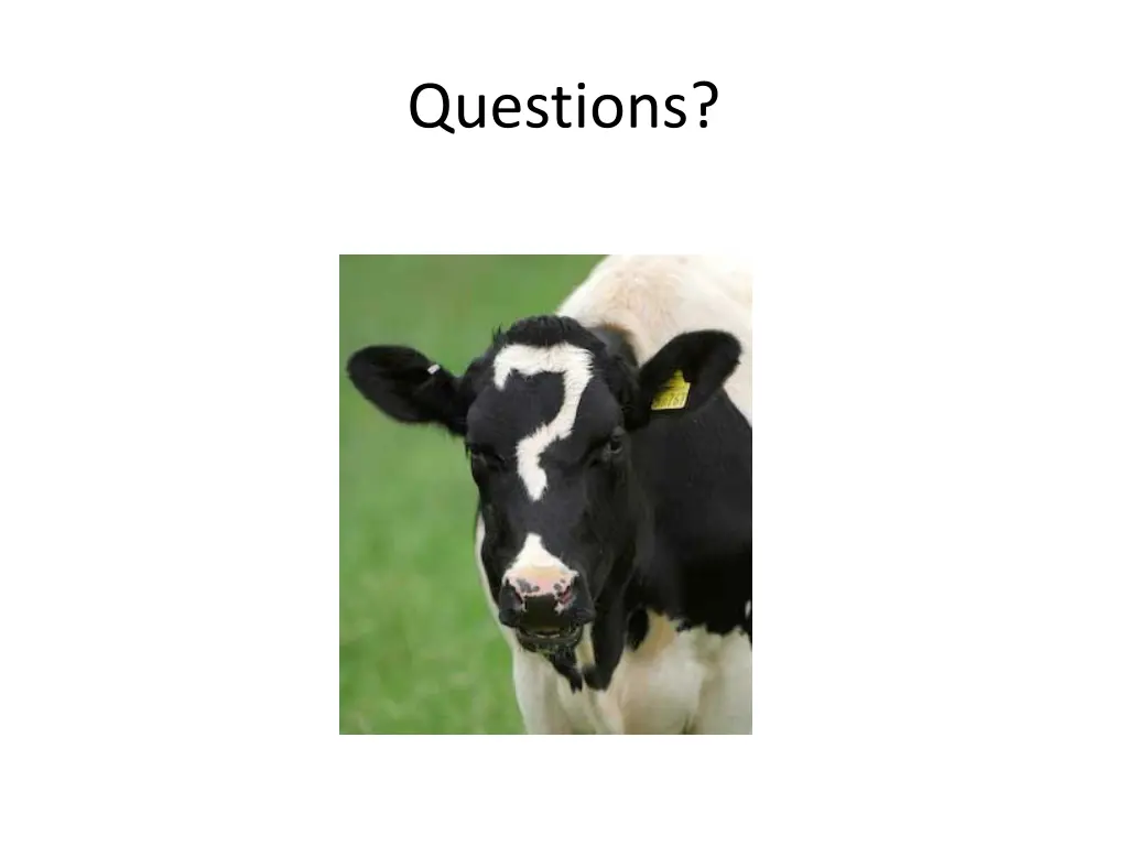 questions