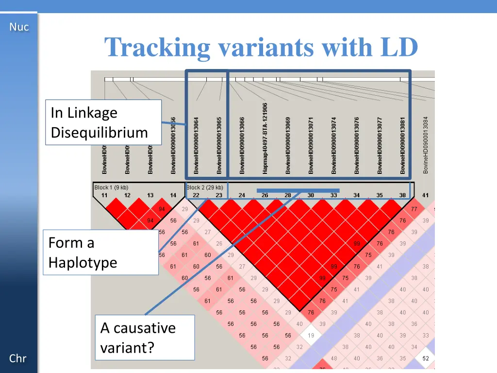slide5