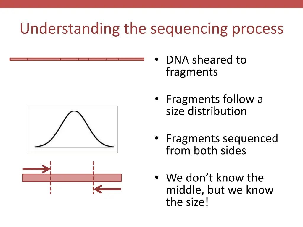 understanding the sequencing process