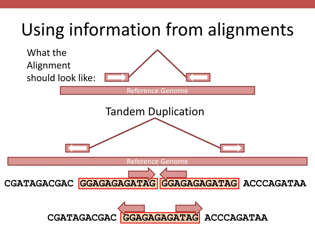 using information from alignments 1