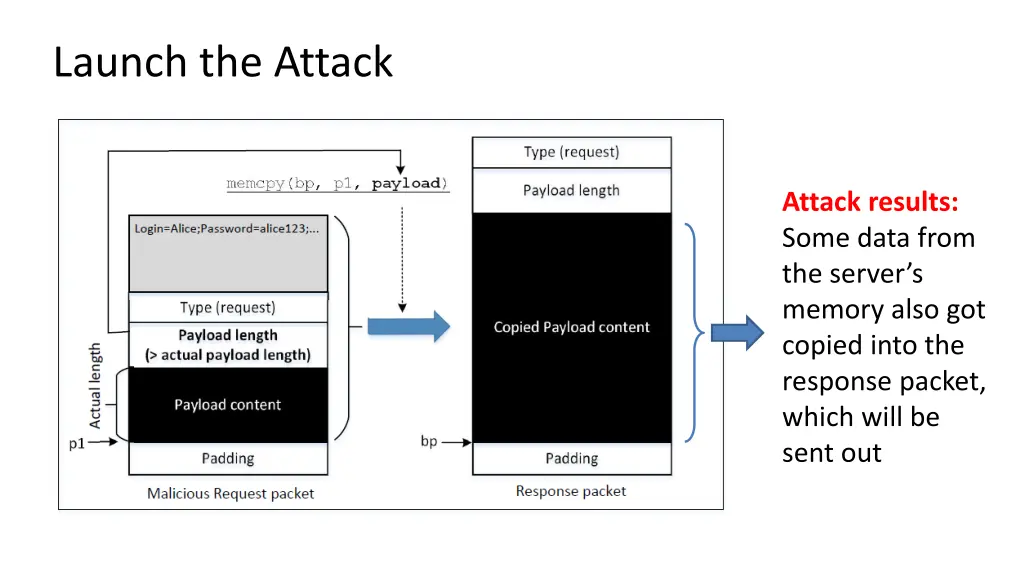 launch the attack