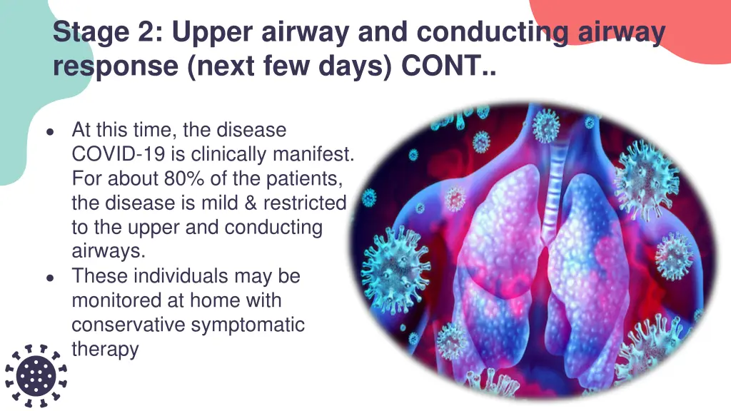 stage 2 upper airway and conducting airway 1