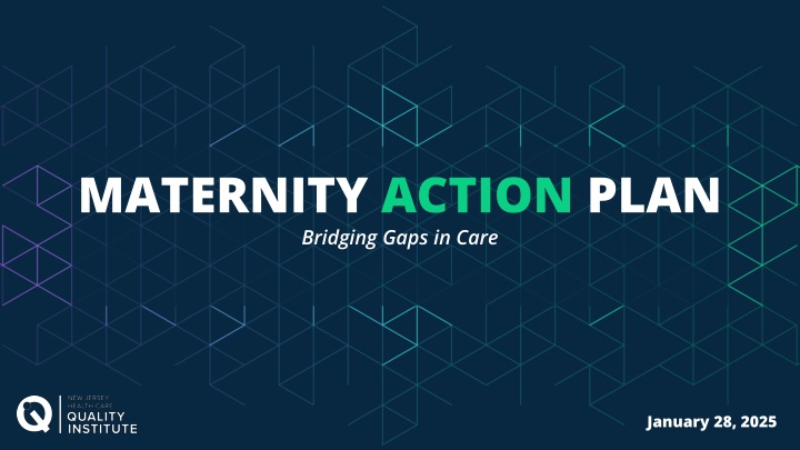 maternity action plan bridging gaps in care