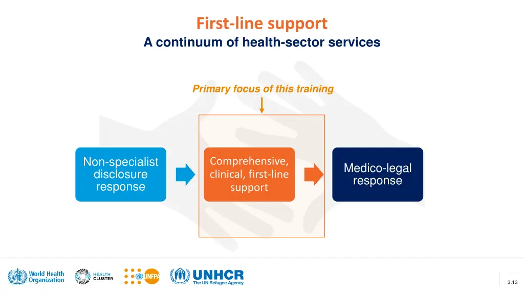 first line support a continuum of health sector
