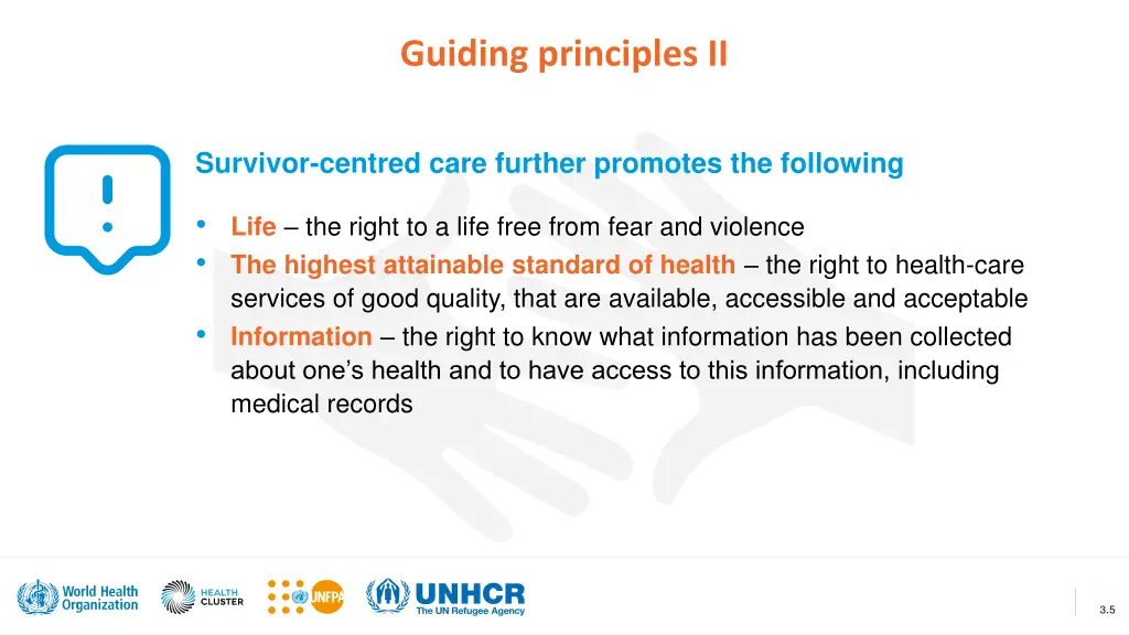 guiding principles ii