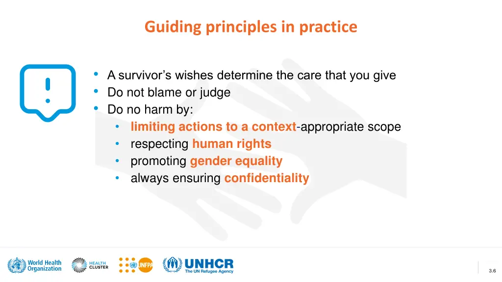 guiding principles in practice