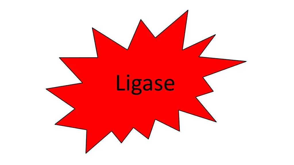 ligase