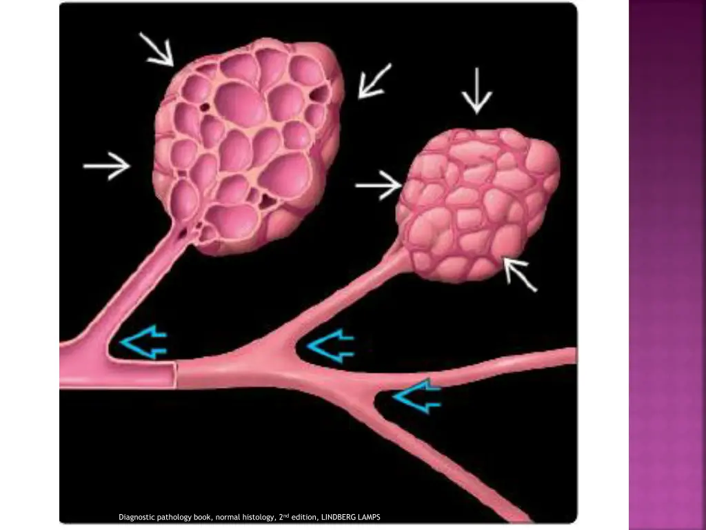 diagnostic pathology book normal histology 1