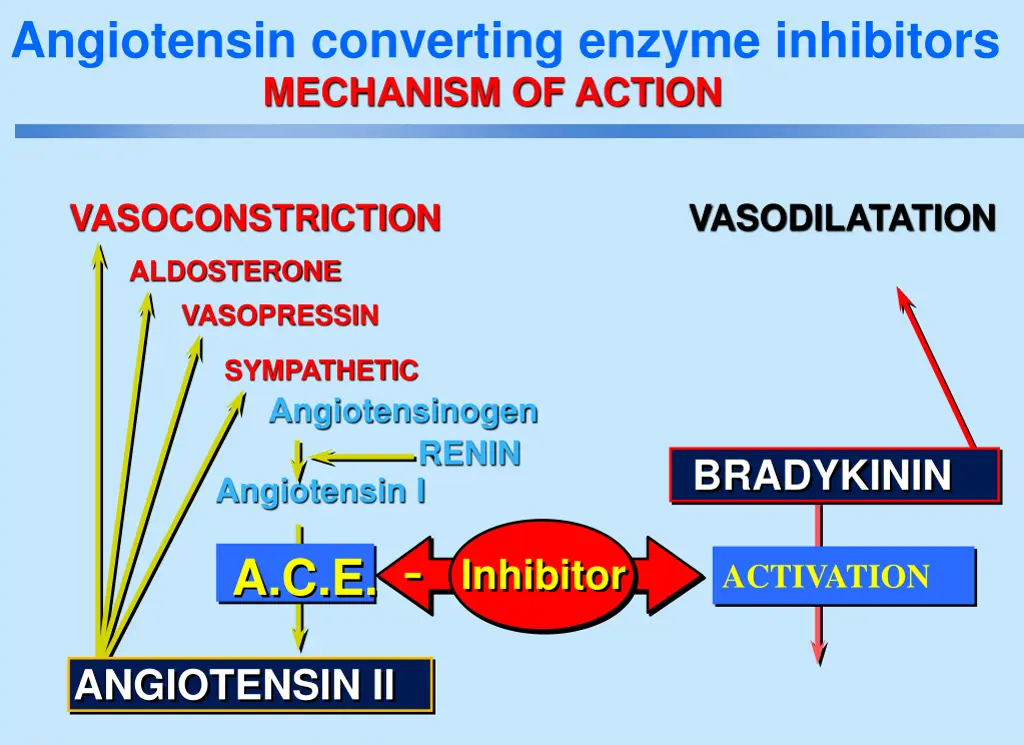 angiotensin converting enzyme inhibitors