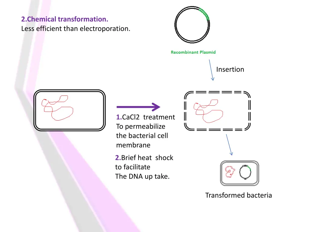 2 chemical transformation less efficient than