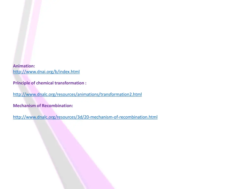 animation http www dnai org b index html