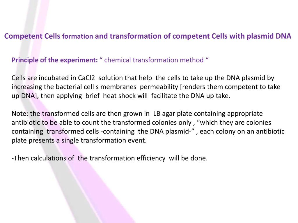 competent cells formation and transformation