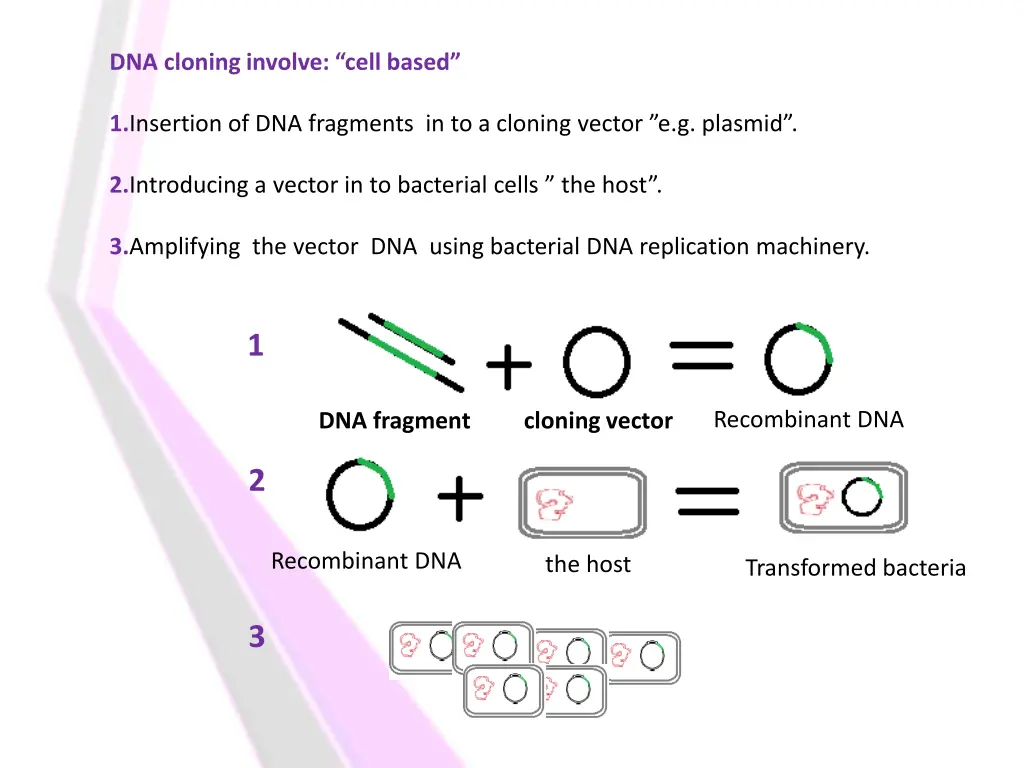 dna cloning involve cell based