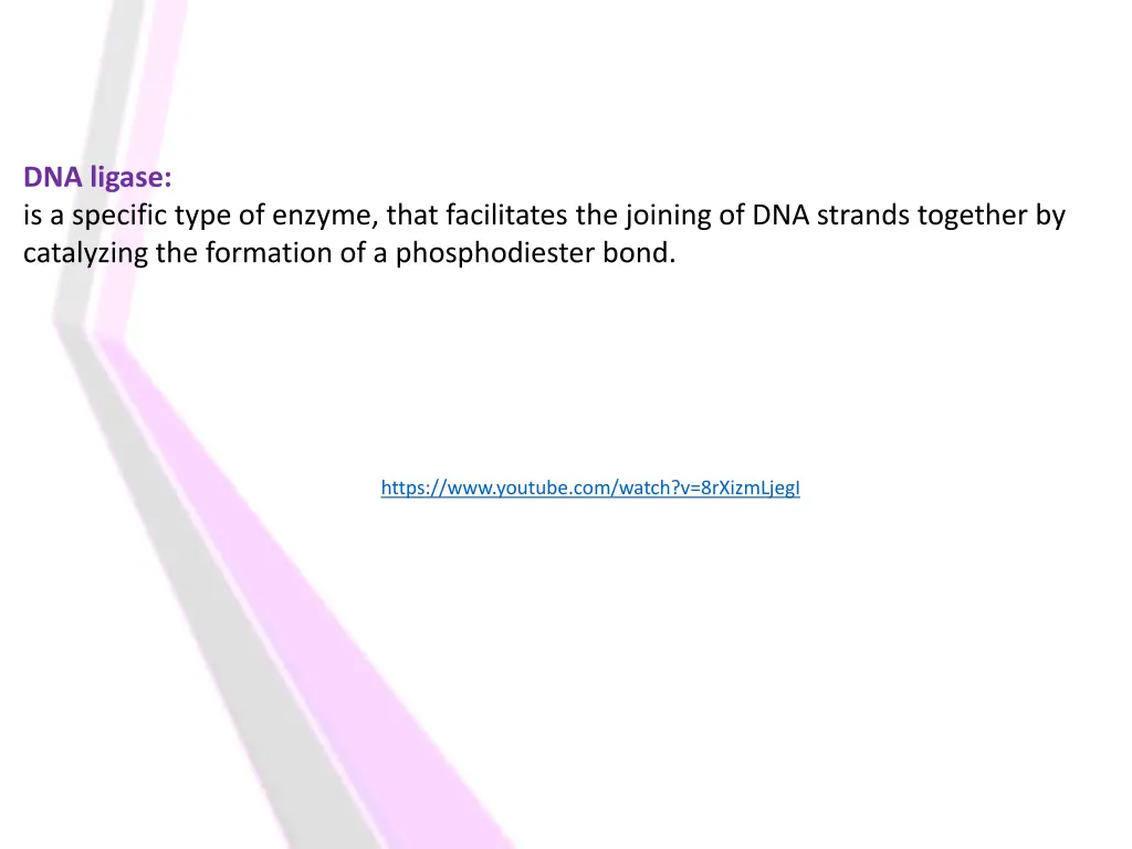 dna ligase is a specific type of enzyme that