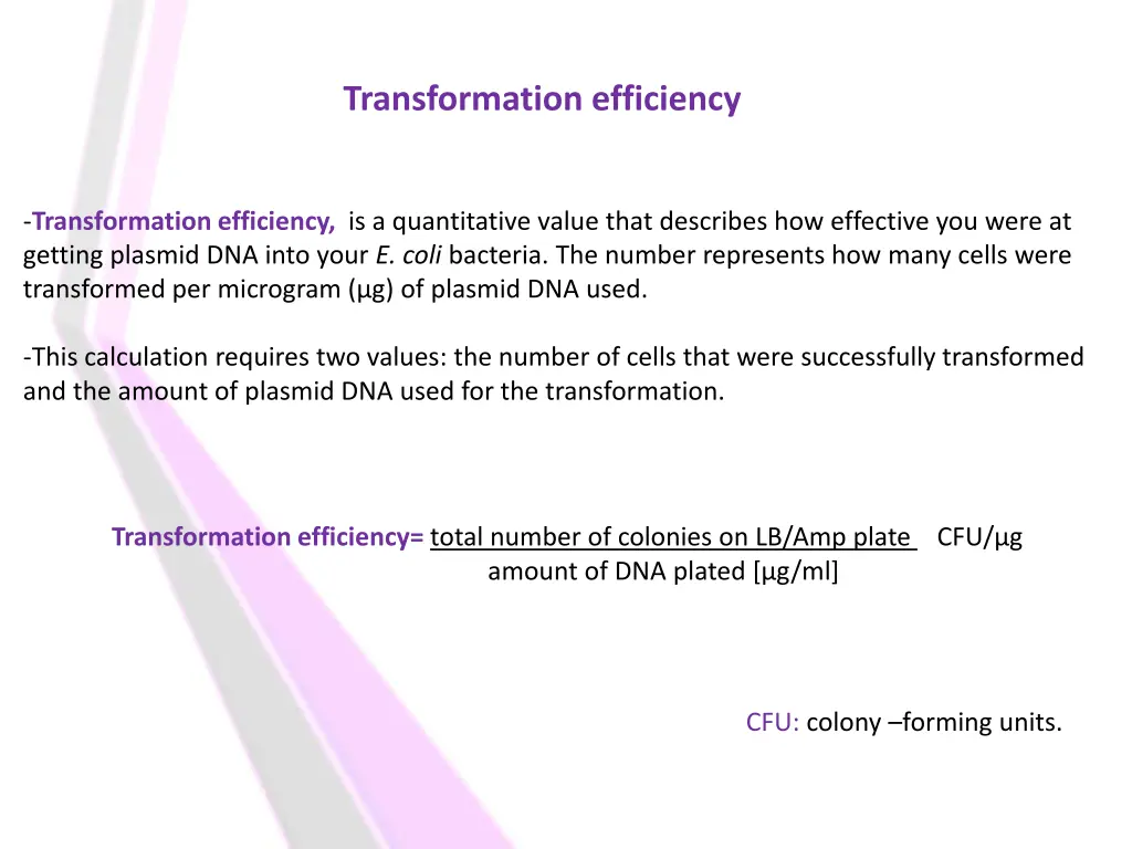 transformation efficiency