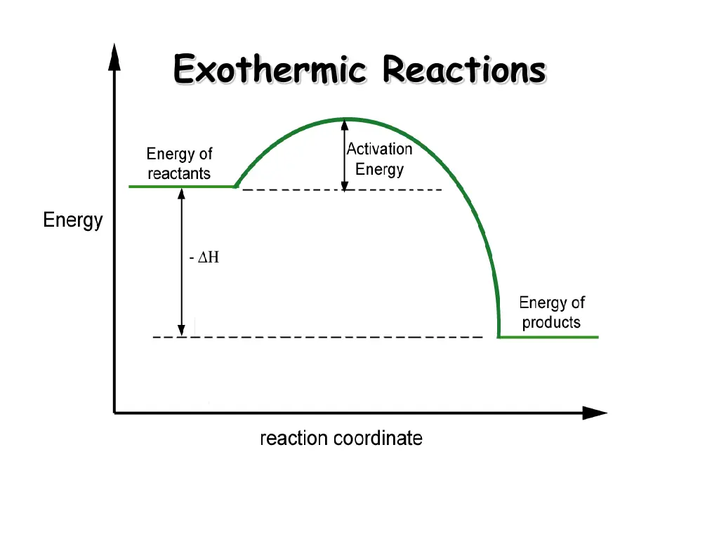 exothermic reactions
