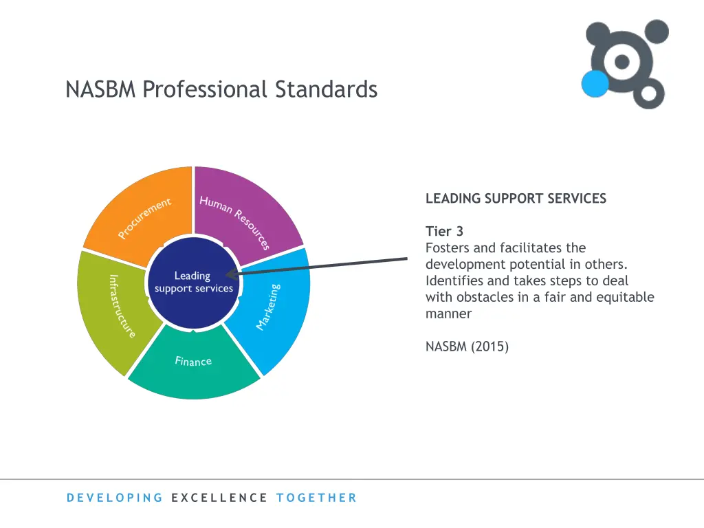 nasbm professional standards 1