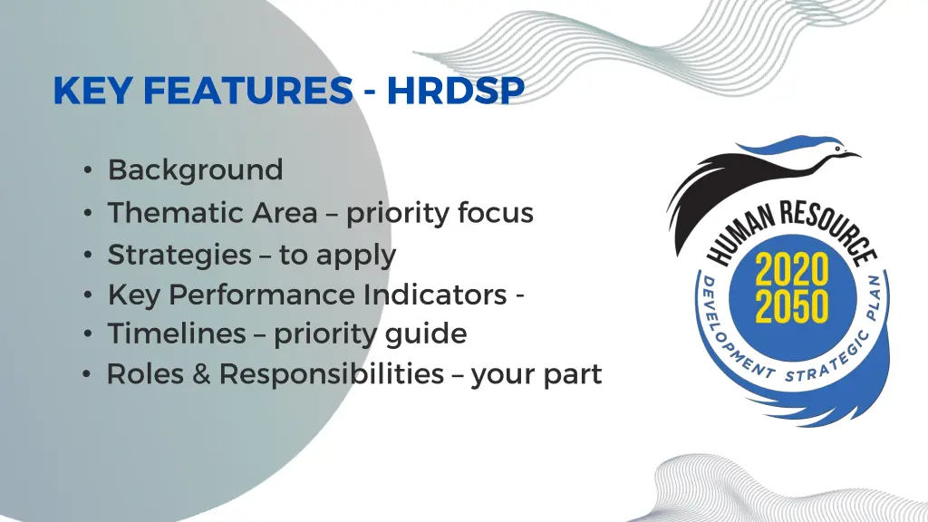 key features hrdsp