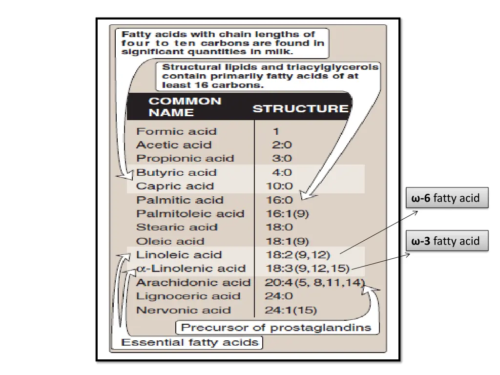 6 fatty acid