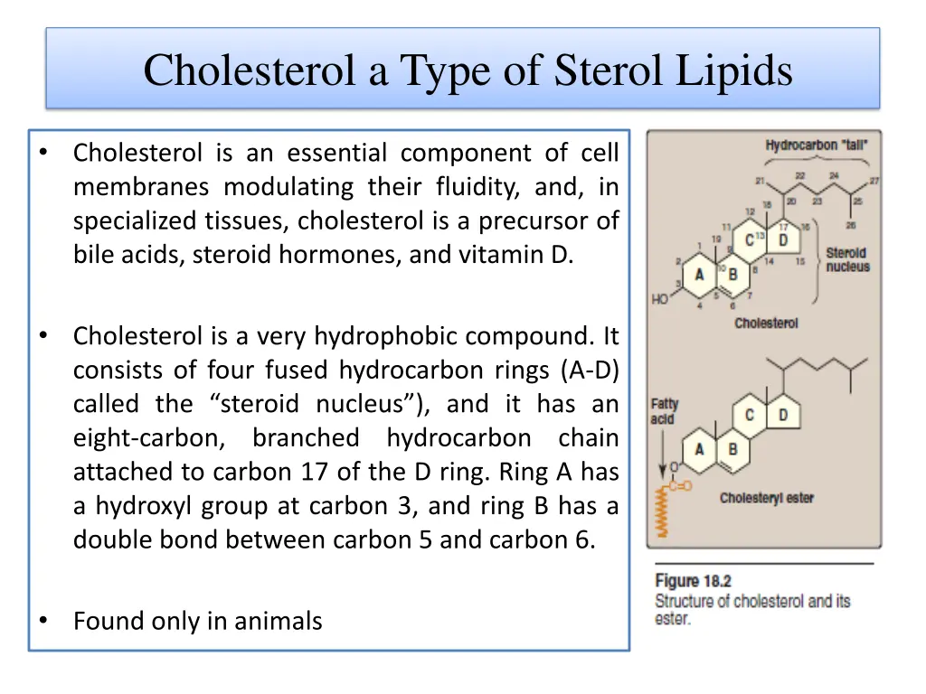cholesterol a type of sterol lipids