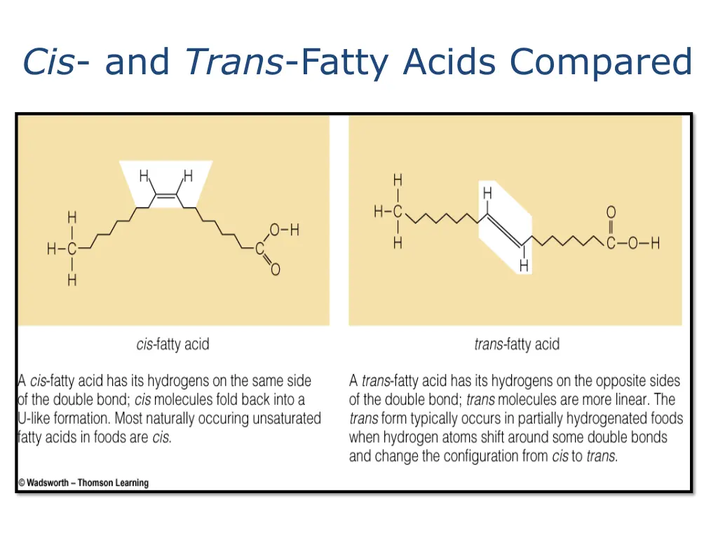 cis and trans fatty acids compared