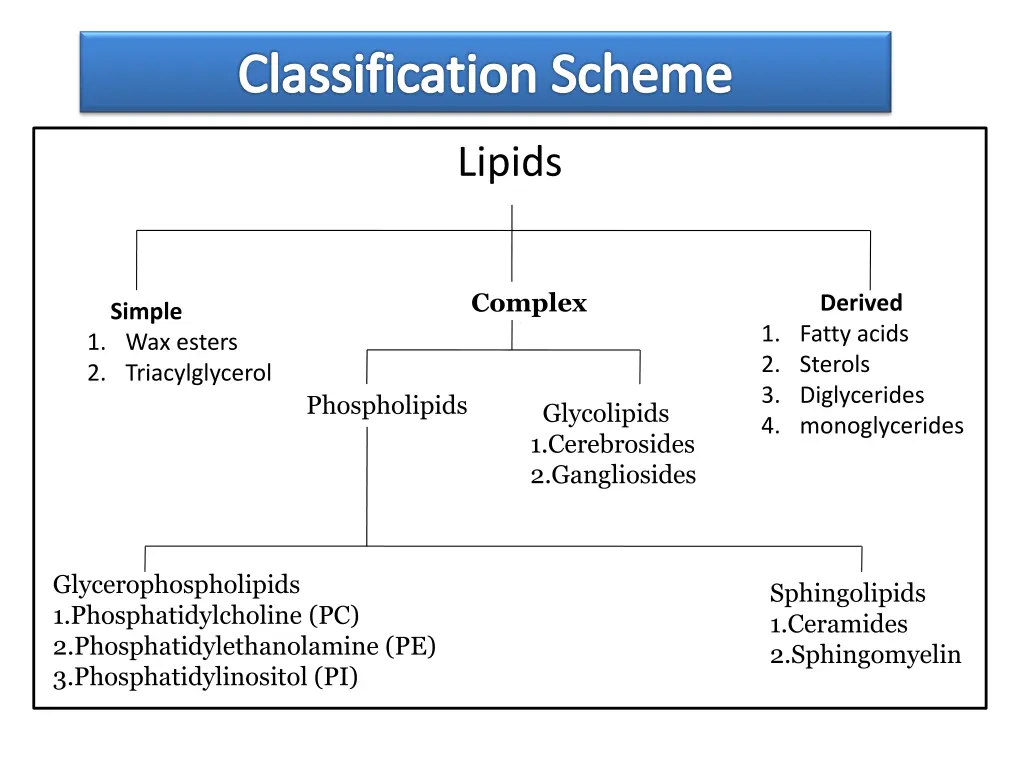 classification scheme