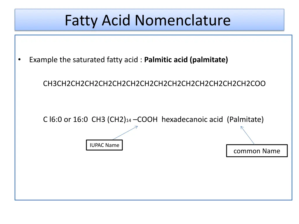 fatty acid nomenclature 2