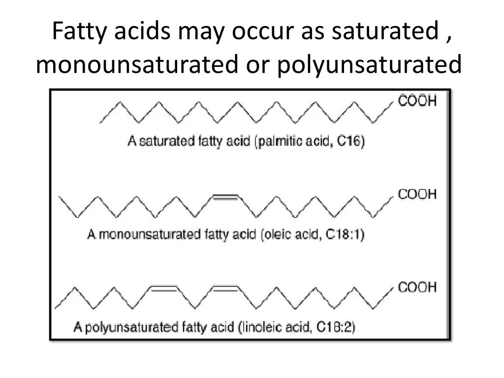 fatty acids may occur as saturated