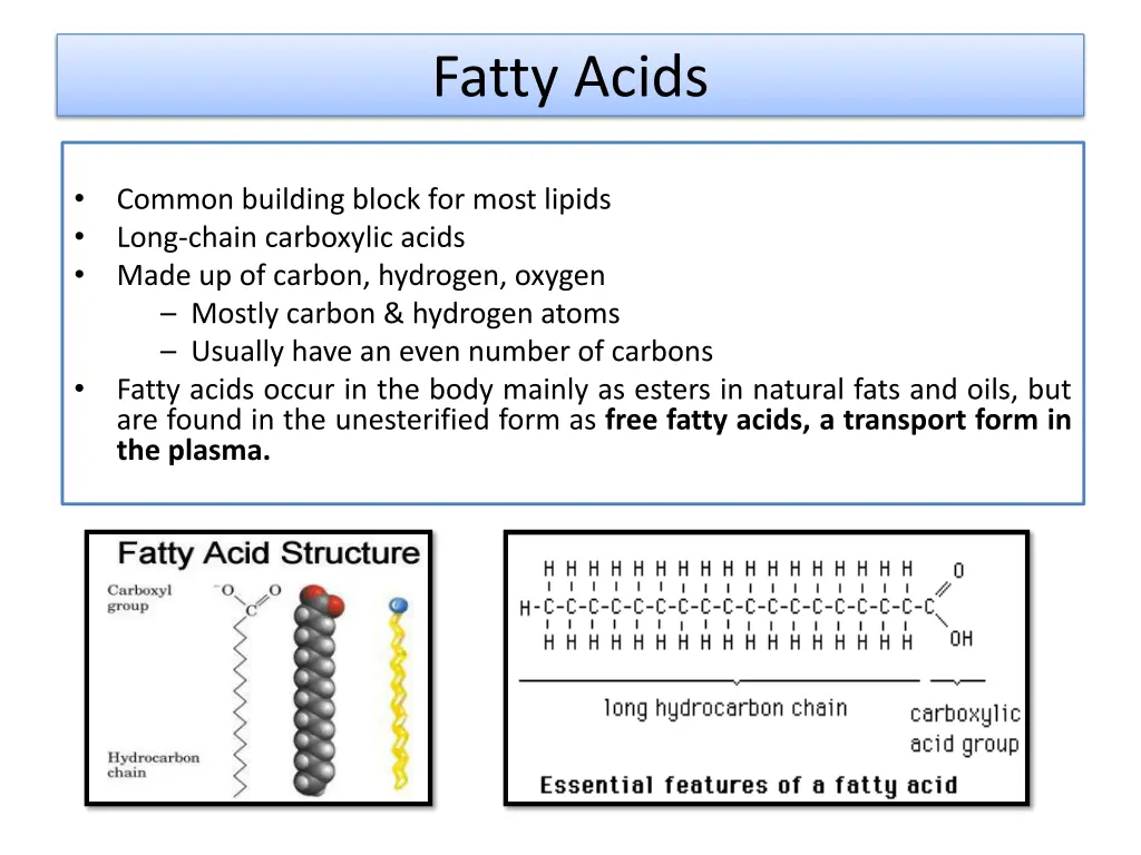fatty acids