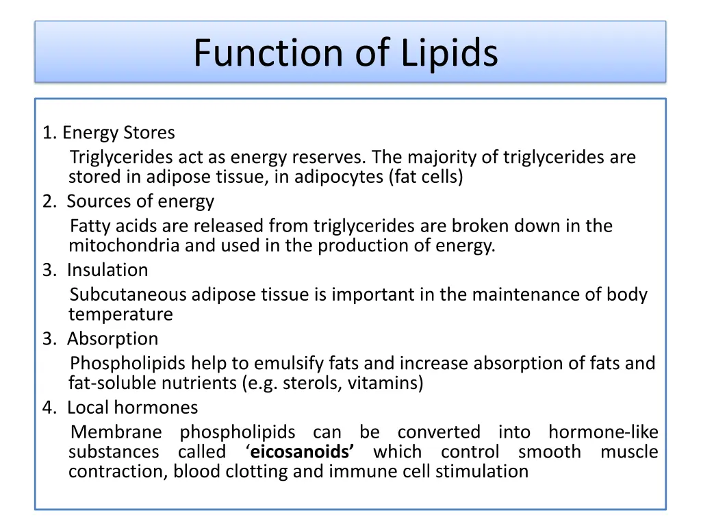 function of lipids