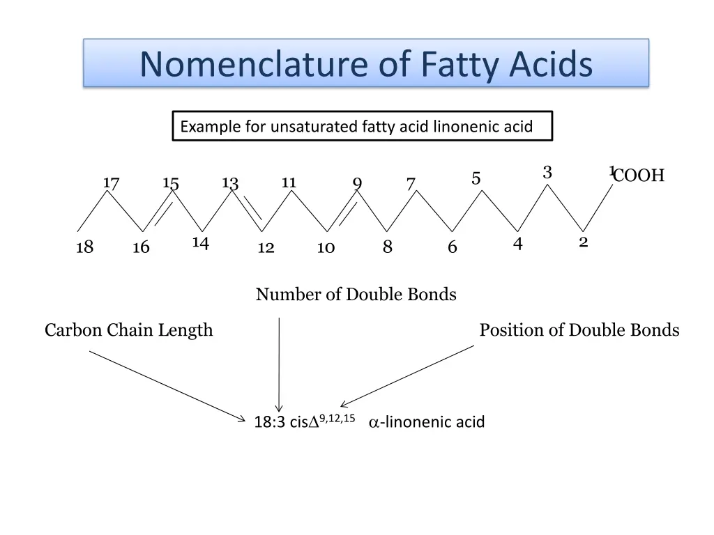 nomenclature of fatty acids