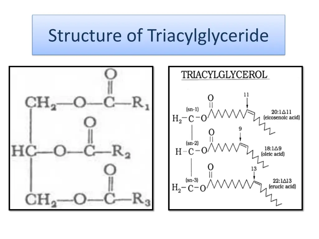 structure of triacylglyceride