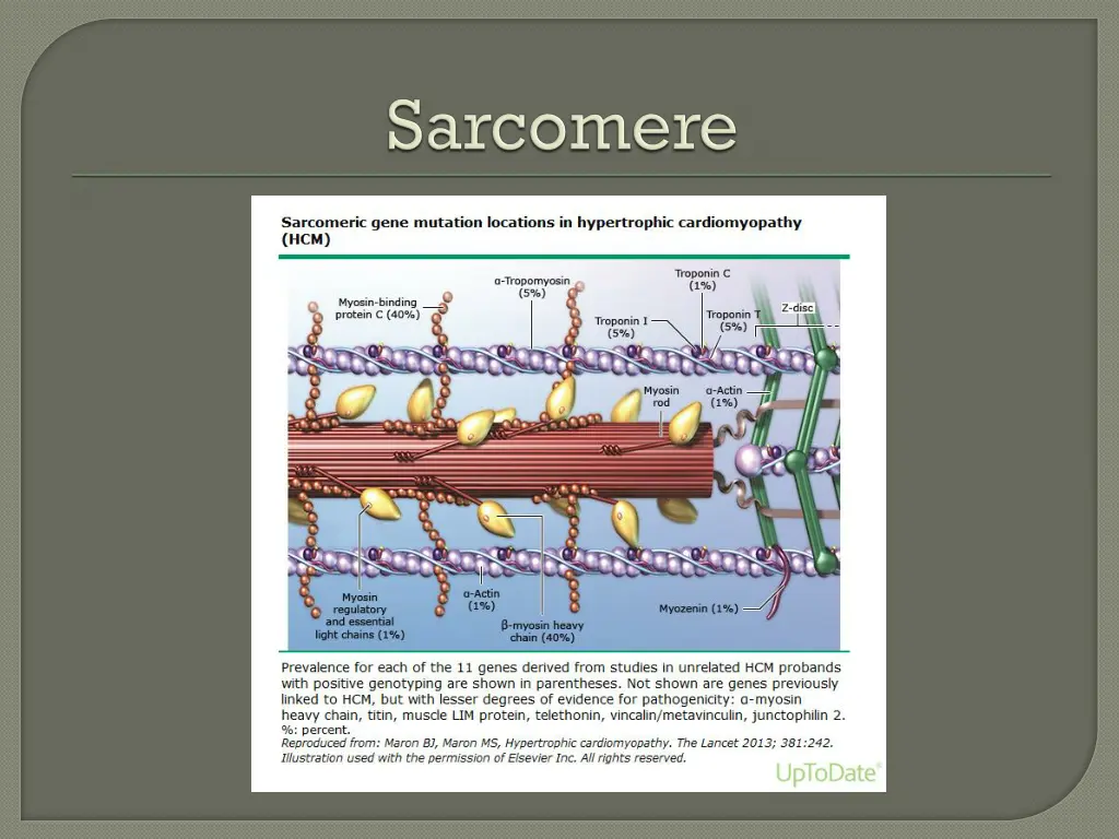 slide5
