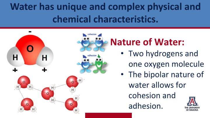 water has unique and complex physical