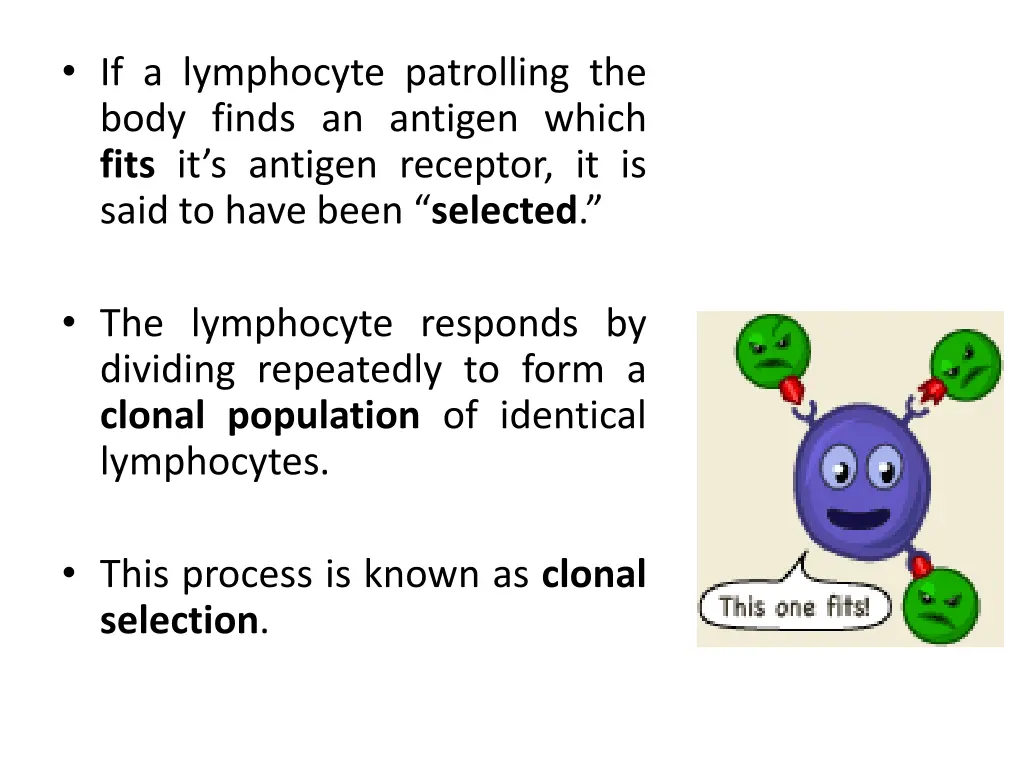 if a lymphocyte patrolling the body finds