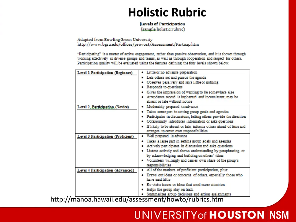 holistic rubric