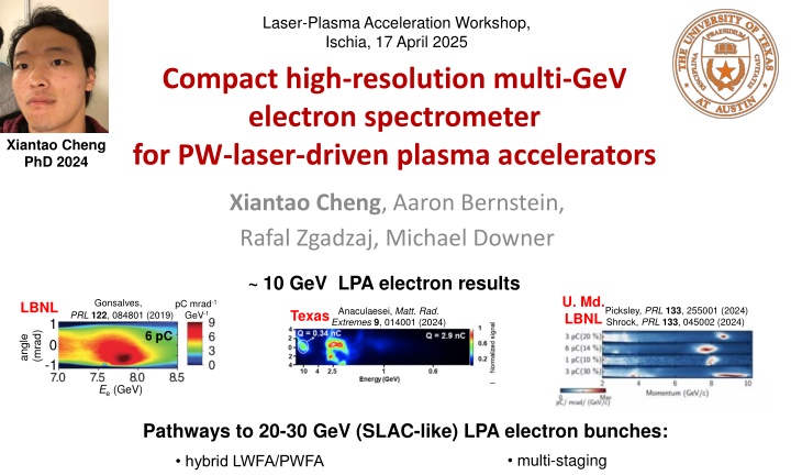 laser plasma acceleration workshop ischia