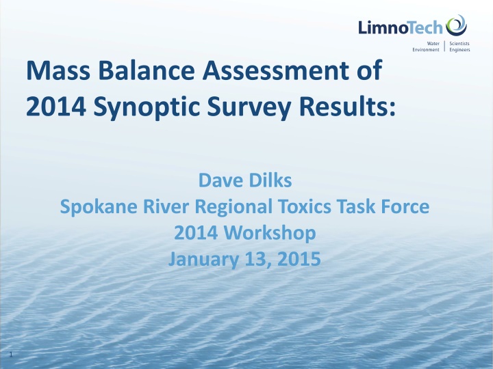 mass balance assessment of 2014 synoptic survey