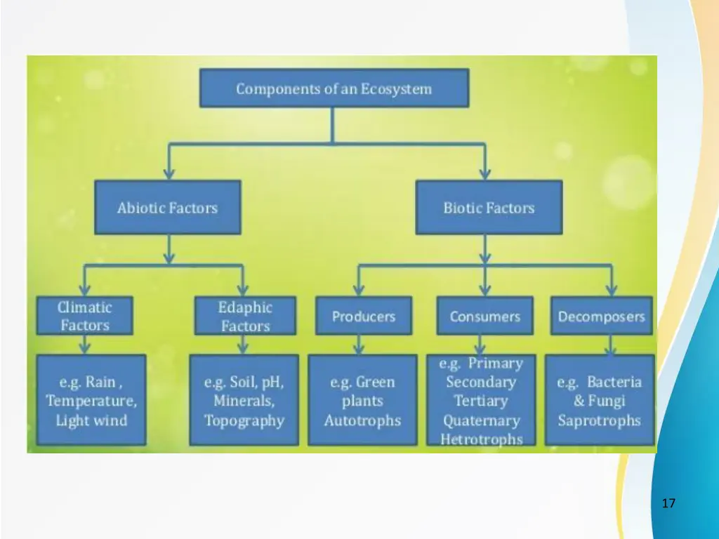 slide17