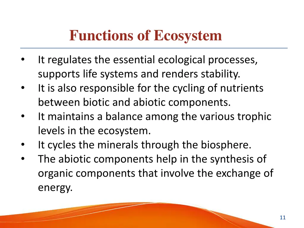 functions of ecosystem