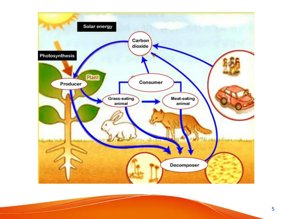 slide5