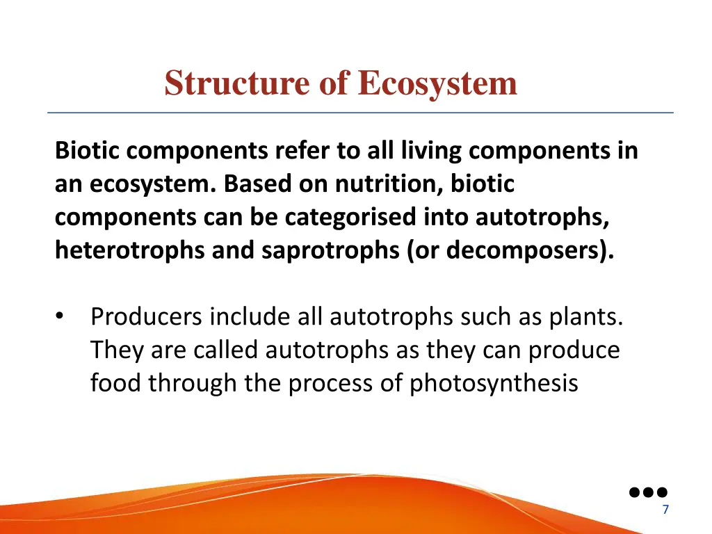 structure of ecosystem 1