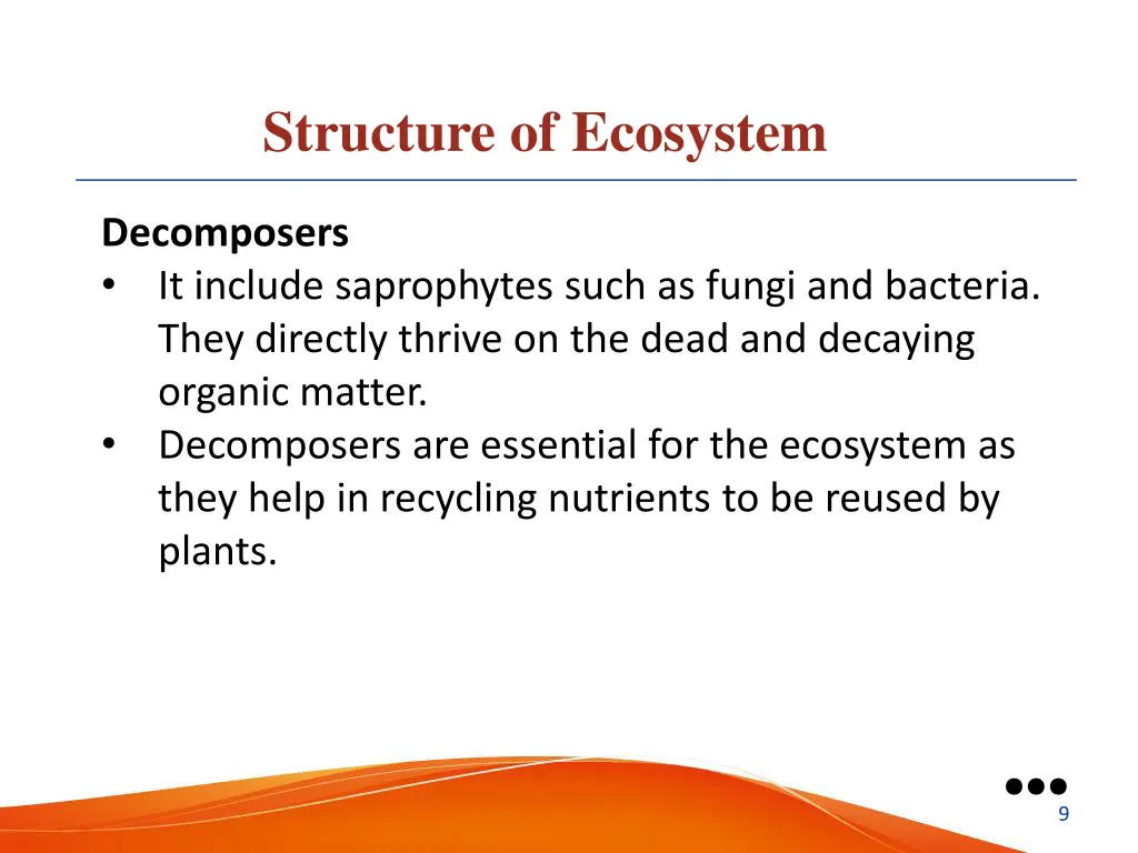 structure of ecosystem 3